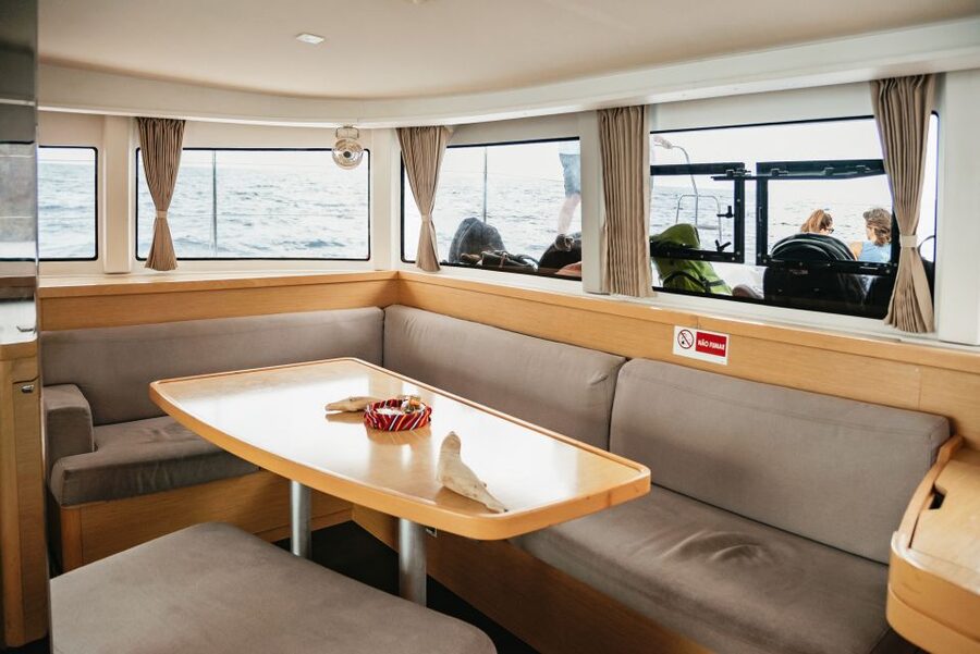Funchal Bay: Dolphin & Whale Watch Luxury Catamaran Cruise - Booking, cancellation, and practical details