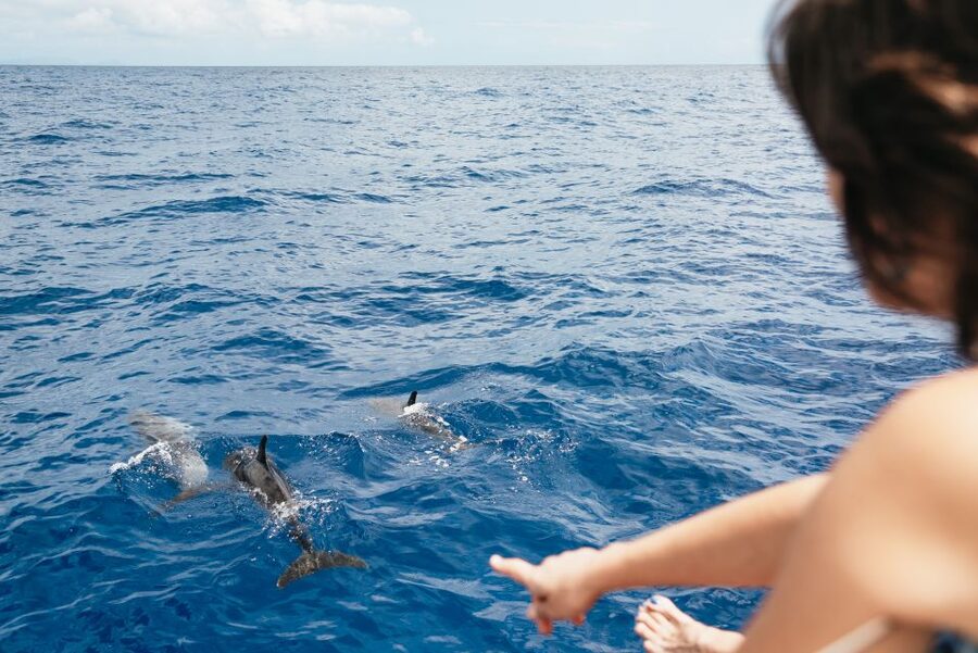 Funchal Bay: Dolphin & Whale Watch Luxury Catamaran Cruise - The 45-minute return along Funchal’s coast