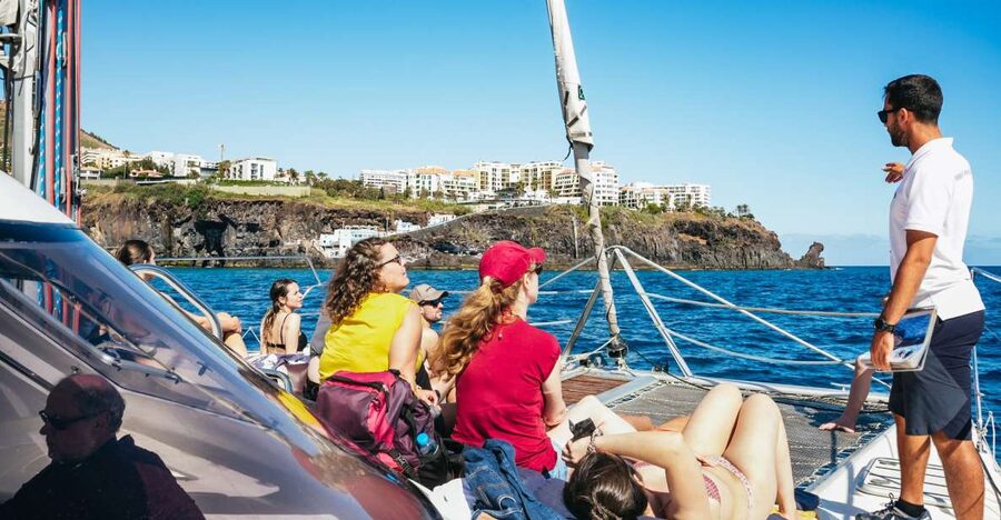 Funchal: Dolphin and Whale Watching by Luxury Catamaran - Key points before you book