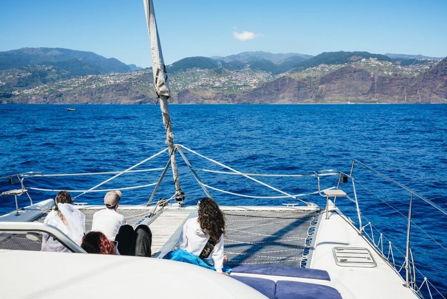 Funchal: Dolphin and Whale Watching by Luxury Catamaran - Booking advice for your day in Funchal