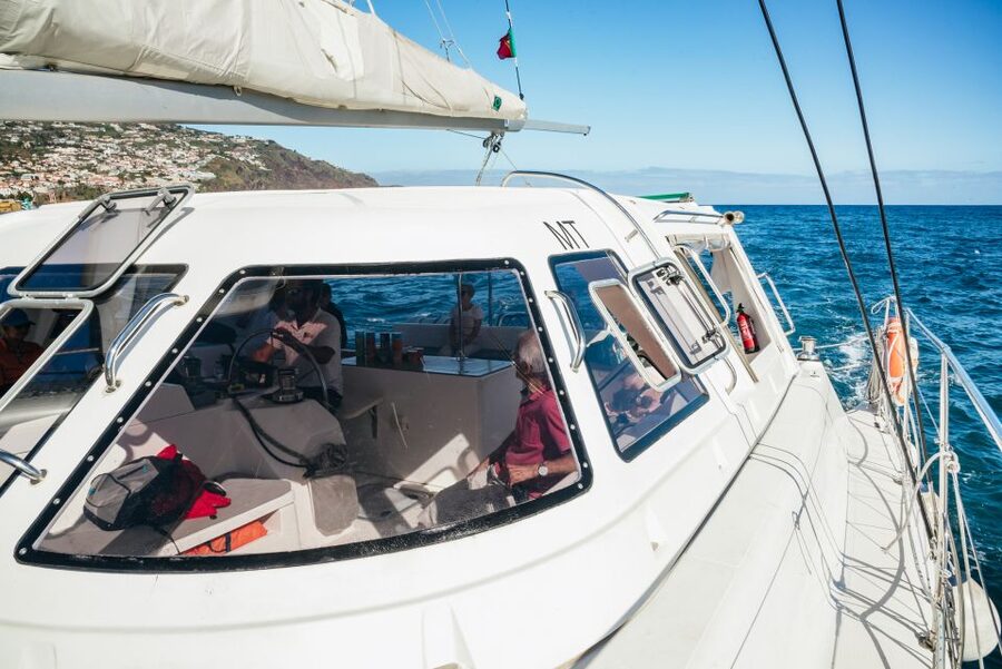Funchal: Dolphin and Whale Watching by Luxury Catamaran - Why this Funchal catamaran trip works so well