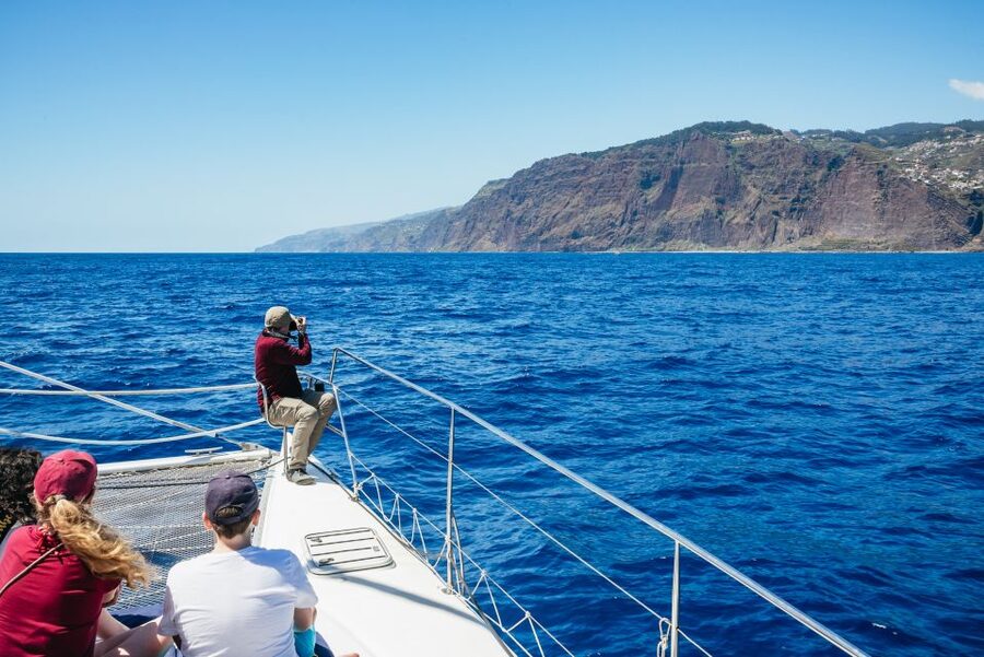 Funchal: Dolphin and Whale Watching by Luxury Catamaran - Cabo Girão from the sea