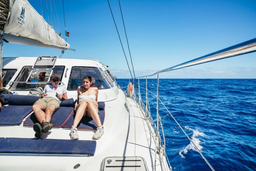 Funchal: Dolphin and Whale Watching by Luxury Catamaran - The catamaran, seating, and onboard comfort