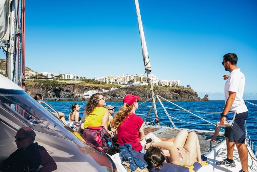 Funchal: Dolphin and Whale Watching by Luxury Catamaran - What the crew adds to the experience