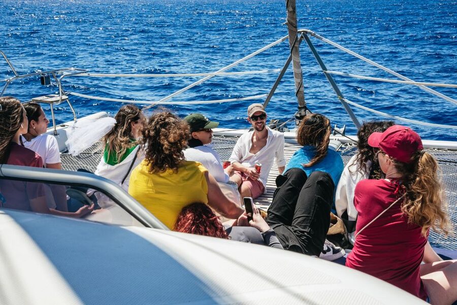 Funchal: Dolphin and Whale Watching by Luxury Catamaran - How much value do you get for $47?