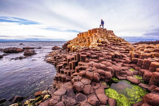 Giant's Causeway Tour from Belfast - Luxury Bus + Castles Tour - The Dark Hedges and its screen-famous appeal