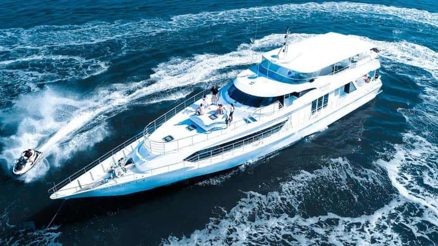 Gold Coast: Luxury Whale Watching Tour - Quick points before you book