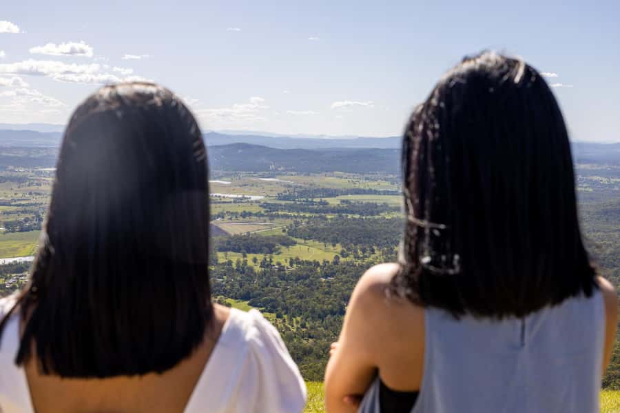 Gold Coast: Premium Wine Tour with Gourmet Lunch - A two-course lunch in the vines