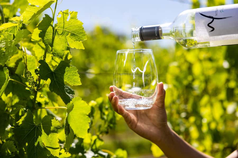 Gold Coast: Premium Wine Tour with Gourmet Lunch - Shopping, fudge, and a scenic viewpoint