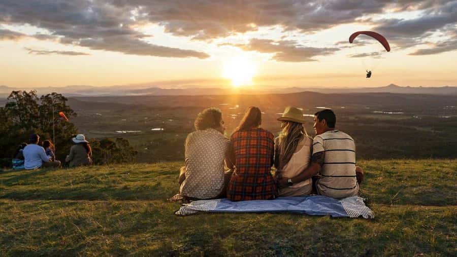 Gold Coast: Premium Wine Tour with Gourmet Lunch - First tastings at boutique wineries