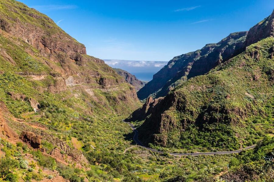 Gran Canaria: Full-Day VIP Tour by Bus - Why this bus tour is useful for seeing Gran Canaria