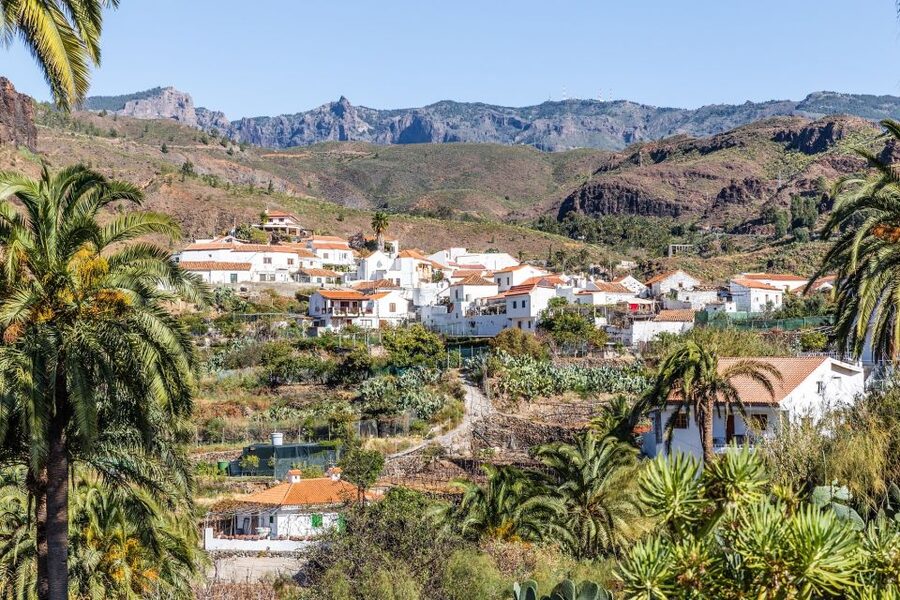 Gran Canaria: Full-Day VIP Tour by Bus - Firgas and Gran Canaria’s greener north