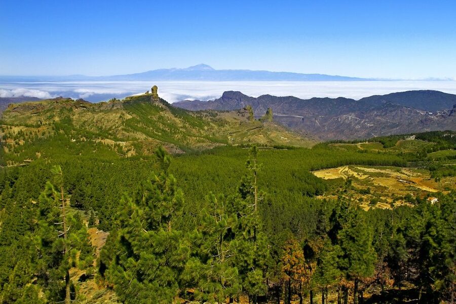 Gran Canaria: Full-Day VIP Tour by Bus - Guides, languages, and the pace of the day