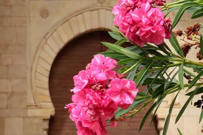 Granada : Alhambra Prestige Group Tour (VIP tickets included) - Is $54.13 a fair price?