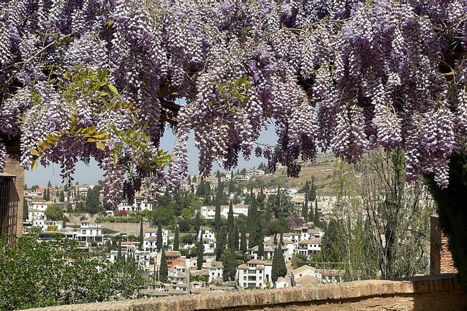 Granada : Private Alhambra Tour + Nazaries Palaces (VIP) - Generalife gardens: begin with water, shade, and views