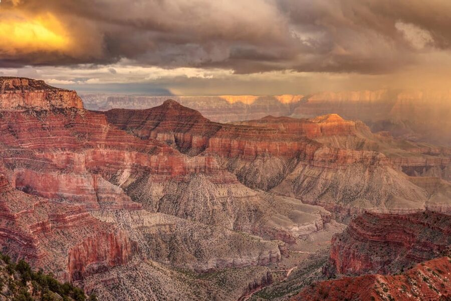 Grand Canyon Hoover Dam and Joshua Tree VIP Small Group Tour - Guides can shape the quality of the trip