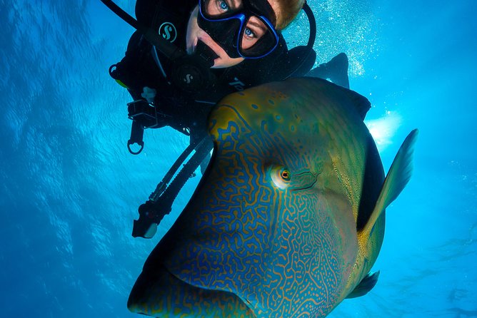 Great Barrier Reef Cruise - Gold Class VIP Lounge Package - The ride home, with wine and a slower pace
