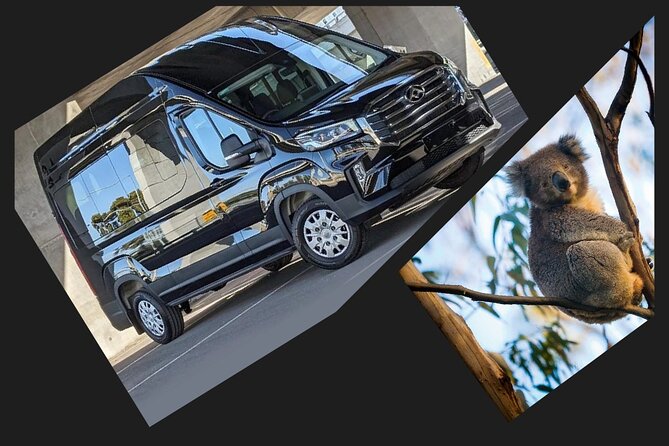 Great Ocean Road Tour Reverse –SML GRP-DLUX Mini Bus Hotel Pickup - Loch Ard Gorge tells the coast’s darker story