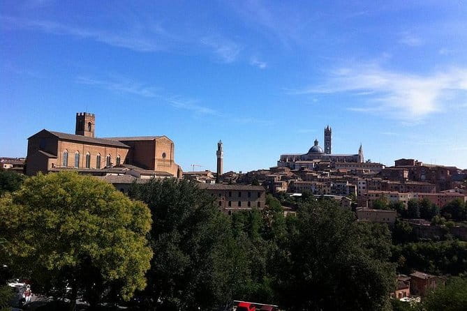 Half Day Chianti Wine Tour with Private Luxury Van - What you may taste in Chianti