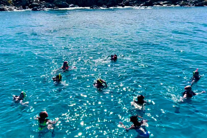 Half Day Luxury Catamaran Turtle Snorkel And Beach - The southern coast ride and first snorkeling stop