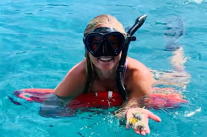 Half Day Luxury Catamaran Turtle Snorkel And Beach - Weather, comfort, and who should skip it