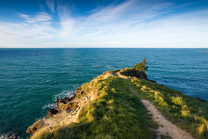 Half Day Luxury Private Guided Crater Rim Walk - Taylors Mistake and the Awaroa Coastal Track
