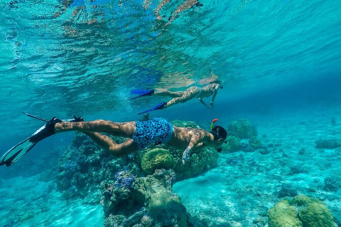 Half-Day Private Luxury Tour from Bora Bora - Swimming over Bora Bora’s coral garden
