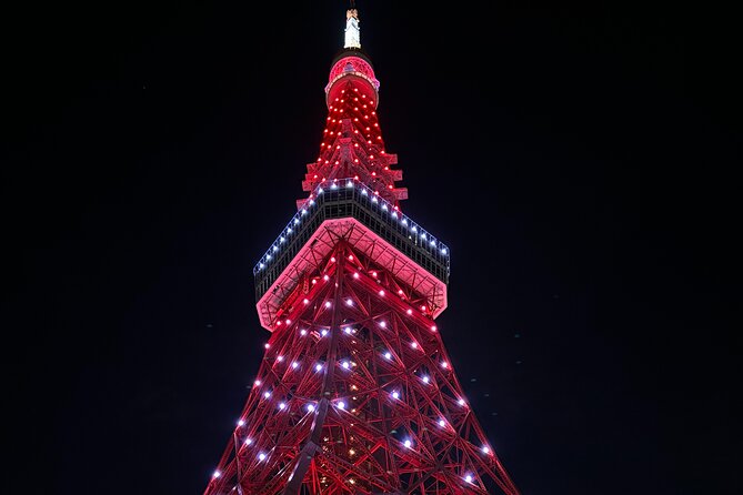 Haneda Airport Private Transfer – Luxury Car & Meet & Greet - Delays, cancellations, and waiting time