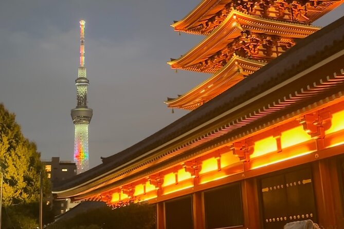 Haneda Airport Private Transfer – Luxury Car & Meet & Greet - Small details that make the transfer work better