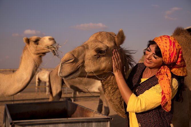 High Red Dunes with Camel Ride, Sandboarding, Falcon Show and VIP BBQ Dinner - The first desert stop and the quad bike choice