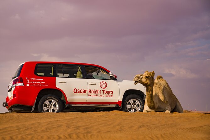 High Red Dunes with Camel Ride, Sandboarding, Falcon Show and VIP BBQ Dinner - Who should book this safari?