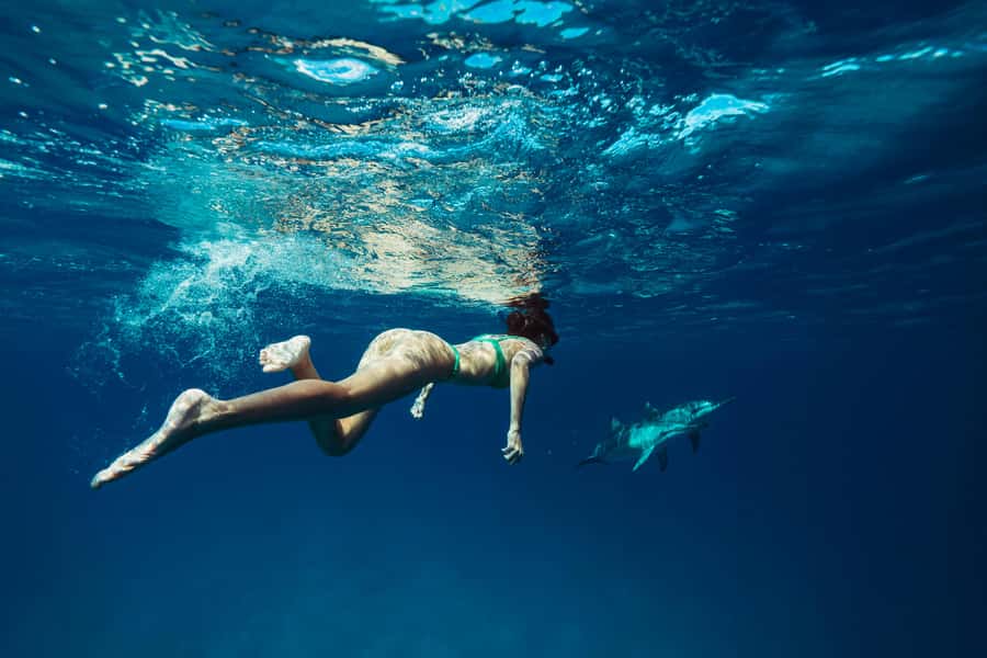 Hurghada: All-Inclusive Elite VIP Dolphin House & Massage - Reaching Dolphin House from Hurghada