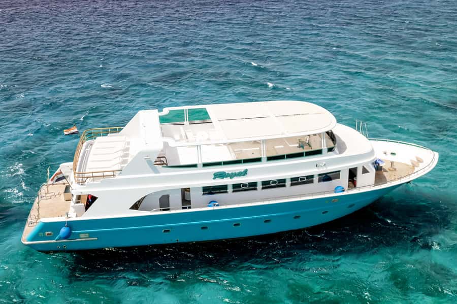 Hurghada: All-Inclusive Elite VIP Dolphin House & Massage - A final reef stop and time to rest