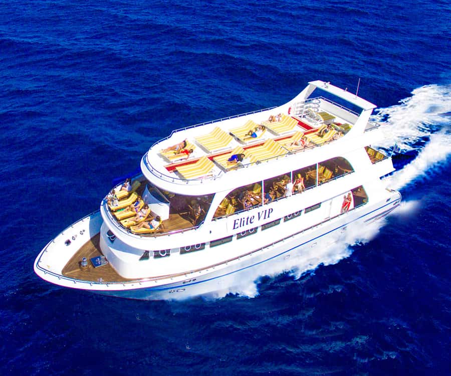 Hurghada: Elite vip snorkeling cruise with BBQ buffet lunch - Three reef stops, with guides in the water