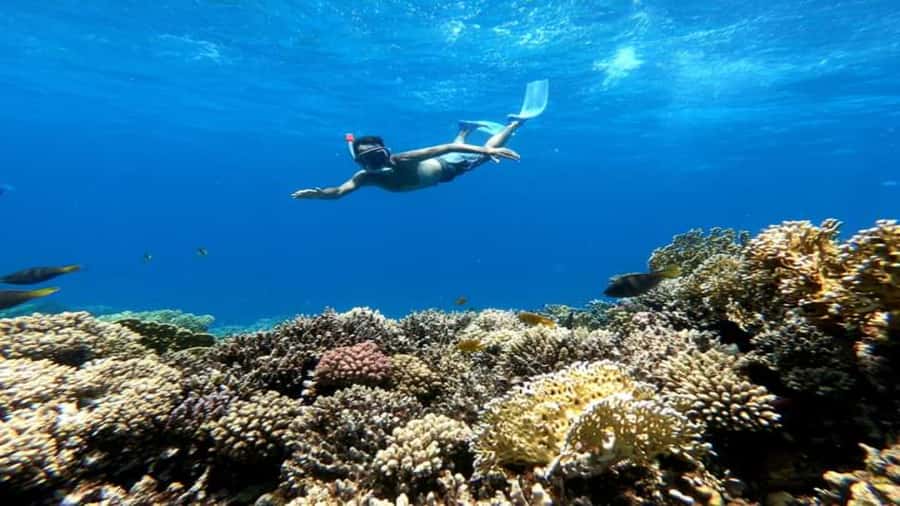 Hurghada: Luxury Cruise Trip to Orange Bay with Lunch - Lunch with a view of the Red Sea