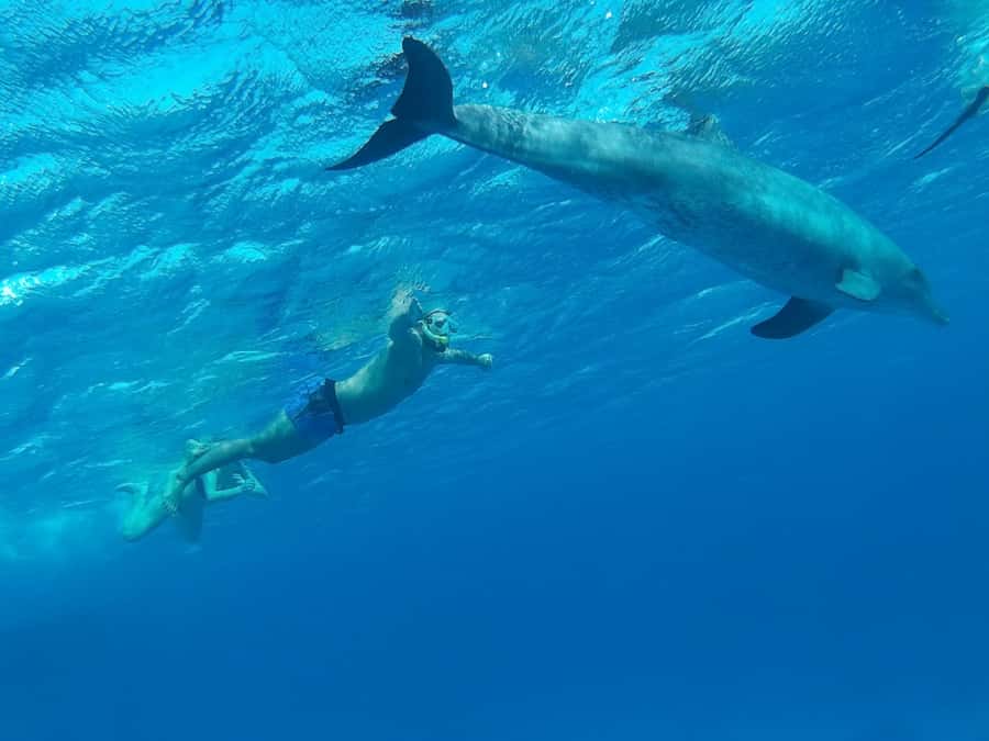 Hurghada: Luxury Cruise Trip to Orange Bay with Lunch - Banana boat, massage, and free time