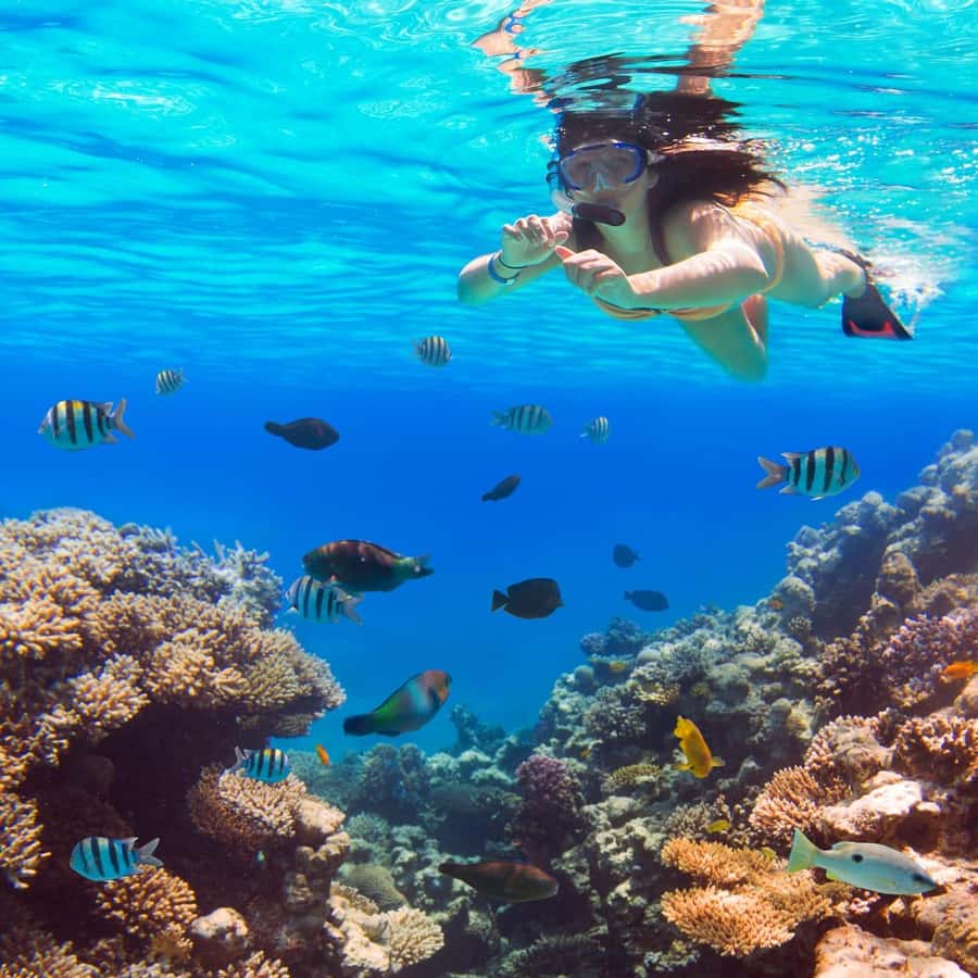 Hurghada:Luxury Diving & Snorkeling inc/Island/Lunch/Massage - Setting out from Hurghada