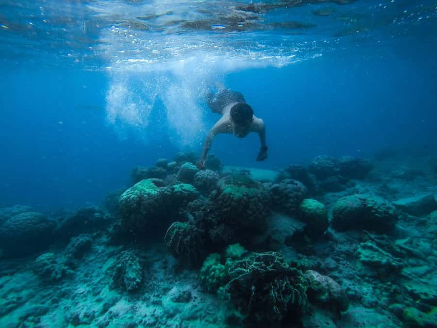 Hurghada:Luxury Diving & Snorkeling inc/Island/Lunch/Massage - Small Giftun and the introductory scuba session