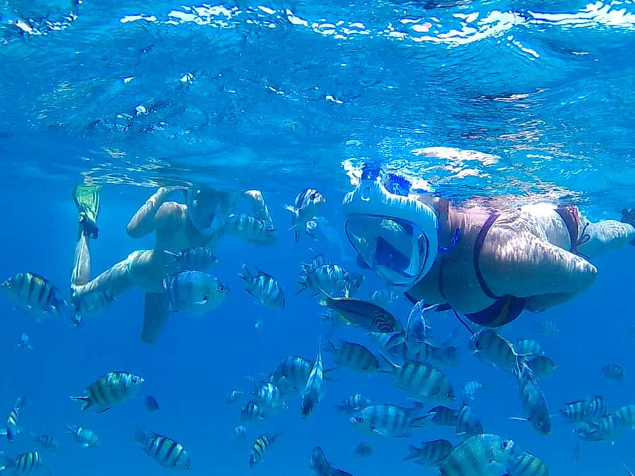 Hurghada: Luxury Giftun island w/snorkeling/lunch & Massage - Why the early start matters on Giftun Island
