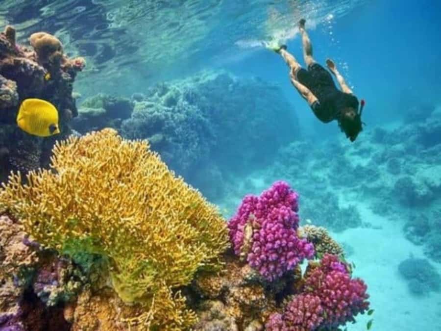 Hurghada: Luxury Private Yacht with Optional Lunch & Drinks - The second 40-minute water stop