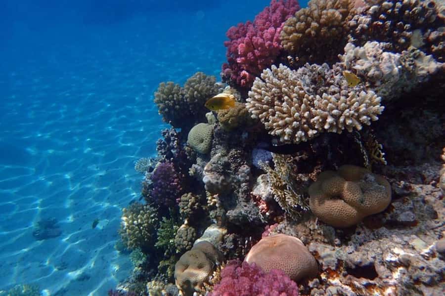 Hurghada: Luxury Private Yacht with Optional Lunch & Drinks - How private is the private experience?