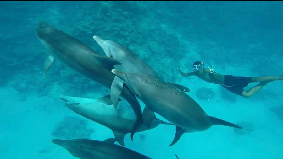 Hurghada: Luxury Yacht Trip with Personal Crew and Chef - Practical details that matter
