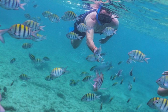 Isla Mujeres Luxury Sailing: Adults Only or Family Friendly - Isla Mujeres offers freedom, but also plenty of sales pressure