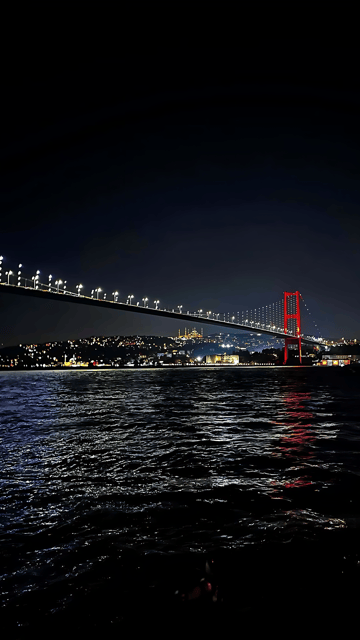 Istanbul: Exclusive Istanbul Night Tour with Private VIP Car - A Restaurant View by Special Request