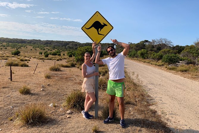 Kangaroo Island Luxury Small Group 'Island Life' Full Day Tour - The guides are a big part of the experience