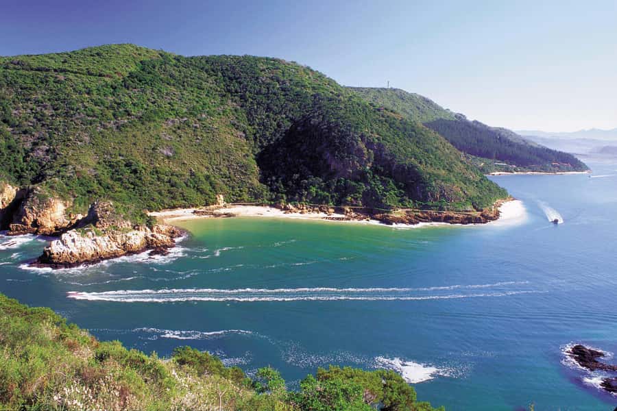 Knysna: Luxury Catamaran Marine Adventure Tour - Watching for dolphins, seals, and sea life