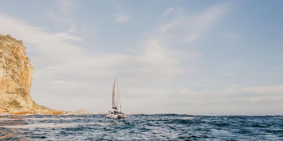 Knysna: Luxury Catamaran Marine Adventure Tour - How much value do you get for $84?