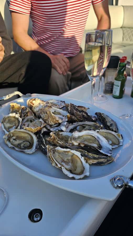 Knysna: Wine & Oyster Luxury Lounger Sunset Cruise - Setting off from Thesen Island