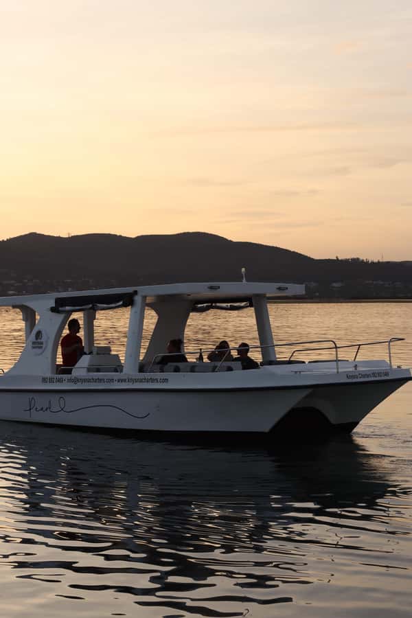 Knysna: Wine & Oyster Luxury Lounger Sunset Cruise - Should you book the Wine and Oyster Sunset Cruise?