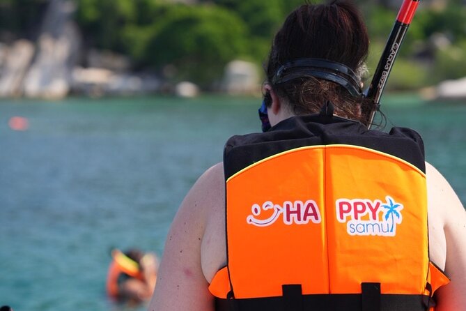 Koh Tao and Koh Nang Yuan VIP Small Group Tour - The speedboat ride from Koh Samui